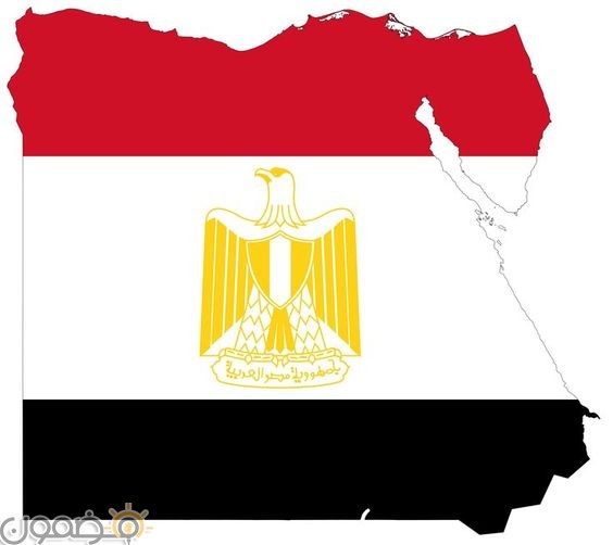 خلفيات علم مصر 2018 11 صور خلفيات علم مصر للموبايل للفيس 2022