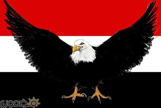 خلفيات علم مصر 2018 13 صور خلفيات علم مصر للموبايل للفيس 2022