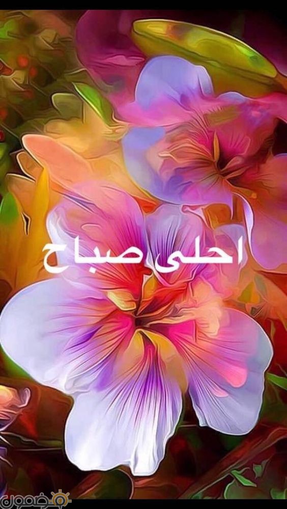 صباح الخير مصريه رسائل صباح الخير 2022 للحبيب من الاصدقاء