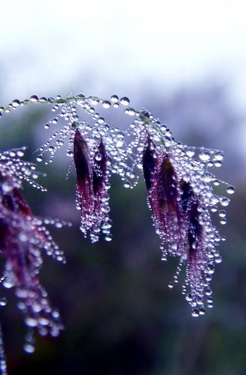 صور أمطار جديدة صور مطر فصل الشتاء رومانسية جميلة للفيس بوك