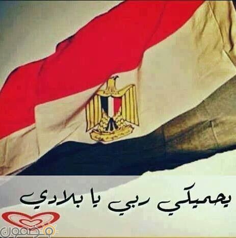 صور علم مصر السيسي 2018 6 صور علم مصر 2022