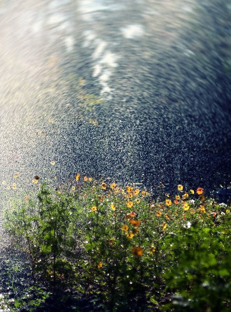 صور مطر تحفة صور مطر فصل الشتاء رومانسية جميلة للفيس بوك