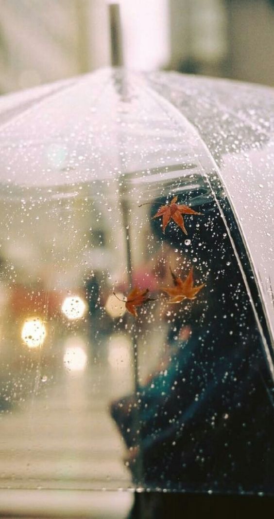صور مطر شمسية صور مطر فصل الشتاء رومانسية جميلة للفيس بوك