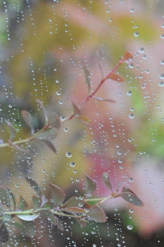 صور مطر كيوت صور مطر فصل الشتاء رومانسية جميلة للفيس بوك