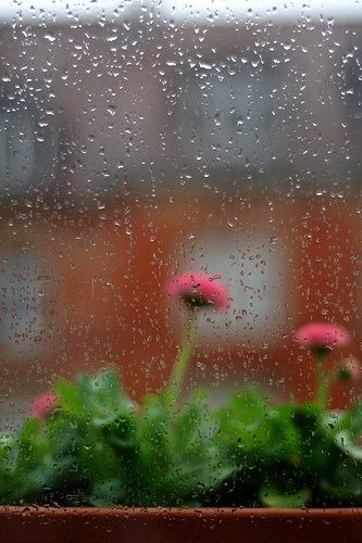 صور مطر للتصميم صور مطر فصل الشتاء رومانسية جميلة للفيس بوك